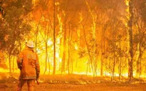 Hơn 100 đám cháy rừng ở Australia nguy cơ vượt kiểm soát