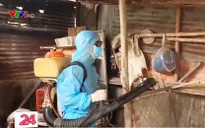 Bộ Y tế kiểm tra điểm nóng sốt xuất huyết