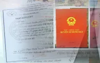 Cẩn trọng chiêu trò tráo sổ đỏ khi giao dịch nhà đất