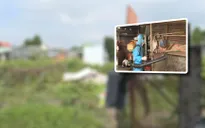 Bộ Y tế khảo sát tình hình sốt xuất huyết tại tỉnh Đồng Nai