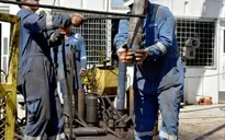 Giá dầu mỏ tiếp tục ổn định