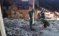 Binh chủng Hóa học chờ tham gia tẩy độc kho Rạng Đông