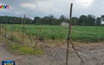 Bùng phát trở lại tình trạng phân lô bán nền trái phép ở Đồng Nai