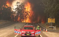 Người dân Australia xếp hàng mua đồ dự phòng giữa cháy rừng