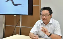 Bộ xét nghiệm phát hiện ung thư bằng giun tròn