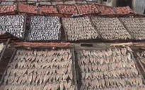 Làng nghề Cái Đôi Vàm nhộn nhịp mùa khô Tết