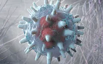 Phát triển phân tử "mồi nhử" giúp vô hiệu hóa virus lây từ động vật sang người