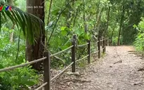 Trải nghiệm đi bộ giữa rừng tại trung tâm bảo tồn thiên nhiên ở Singapore