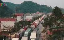 Khuyến cáo tình trạng ùn ứ trái cây, nông sản dịp Tết