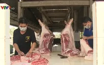 Giá lợn hơi giảm gần 20.000 đồng/kg