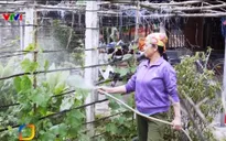 Nước sạch về với cho người dân nông thôn ở 3 tỉnh miền Trung