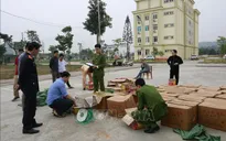 Liên tiếp bắt giữ các vụ buôn pháo lậu tại Yên Bái, Quảng Ninh
