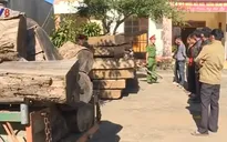 Bắt 5 đối tượng tham gia phá rừng đặc dụng ở Đắk Lắk