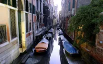 Sau ngập lụt, các kênh đào Venice lại cạn nước