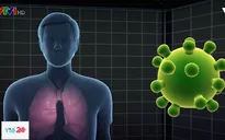 Phác đồ hướng dẫn và điều trị viêm phổi do virus Corona