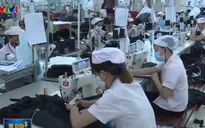 Bức tranh thương mại sau 1 năm Hiệp định CPTPP có hiệu lực
