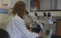 Các nhà khoa học Anh giải trình tự gene virus SARS-CoV-2 để vẽ bản đồ lây nhiễm
