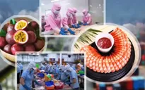 Nhiều nông sản khôi phục tăng trưởng trong năm 2020