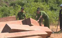 Đăk Lăk: Bắt tạm giam 4 cán bộ liên quan vụ phá rừng quy mô lớn ở huyện Ea Kar