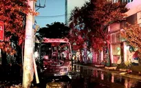 TP.HCM: Xe khách bất ngờ cháy rụi khi chờ khởi hành