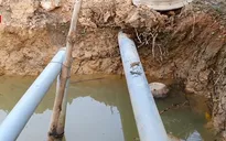 Bến Tre công bố tình huống khẩn cấp do xâm nhập mặn