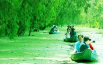 An Giang nhận 2 kỷ lục về rừng tràm Trà Sư