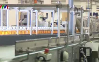 Doanh nghiệp đẩy mạnh đầu tư tự động hóa