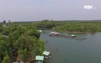 Khám phá đời sống trên hồ Trị An, Đồng Nai
