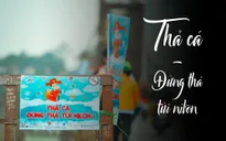 “Thả cá, không thả túi nilon!”