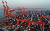 LHQ: Kinh tế thế giới có thể tăng trưởng 2,5% trong năm 2020