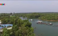 Giữ gìn và phát triển “kho báu” thiên nhiên hồ Trị An