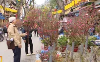 Nồng nàn vị Tết ở chợ hoa lâu đời nhất Hà Nội