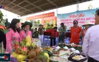 Dấu ấn 14 năm Tết quân dân Cần Thơ