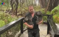 Australia hứng chịu nhiều hình thái thời tiết cực đoan