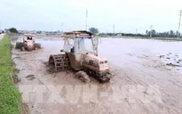Từ ngày mai (20/1), chính thức cấp nước đổ ải đợt 1 cho vụ Đông Xuân 2019-2020