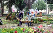 Không khí chuẩn bị Hội Hoa Xuân trên bến dưới thuyền