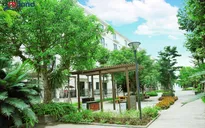 Căn hộ xanh vạn người mê giữa lòng Hà Nội