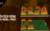 Trái đất đang ấm lên rất nhanh