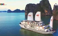 Ngành du lịch Việt Nam tiếp tục một năm thành công rực rỡ