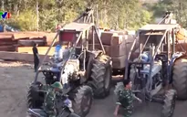 Gia Lai: Hàng chục cán bộ bị kỷ luật vì buông lỏng bảo vệ rừng