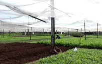 An toàn thực phẩm, chủ đề luôn được người tiêu dùng quan tâm