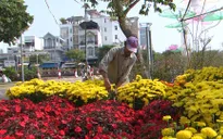Người dân Cần Thơ không chờ tới 30 Tết để mua hoa