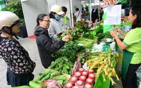 Chợ đầu mối tại TP.HCM dồi dào hàng hóa cho dịp Tết
