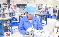 Sẽ mở chiến dịch thanh tra về bảo hiểm xã hội trong năm 2020