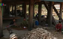Kon Tum: Hỗ trợ các hộ nghèo và cận nghèo đón Tết