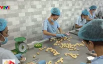 Làng nghề kẹo dừa Bến Tre nhộn nhịp những ngày cận Tết