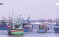 Ngư dân câu cá ngừ đại dương ăn Tết trên biển