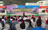 Quan hệ Việt Nam - Nhật Bản ngày một lan tỏa sâu rộng