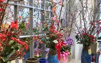 Hoa trực tuyến hút khách dịp cận Tết Nguyên đán