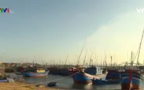 Cuối năm ở làng biển: Mong chờ Tết sum vầy